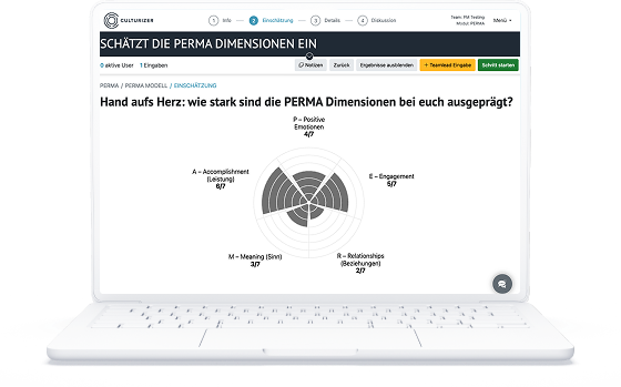 Bild von einem Laptop mit einem Screen des Moduls PERMA